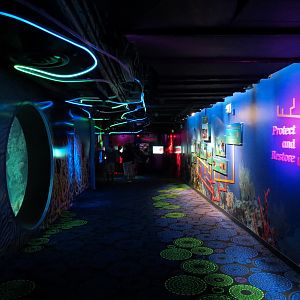 Waves Of Wonder - Hallway