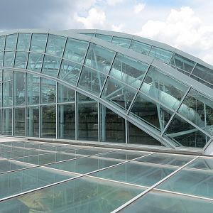 Roof Deck View of Wetlands Trail Skylit Roof
