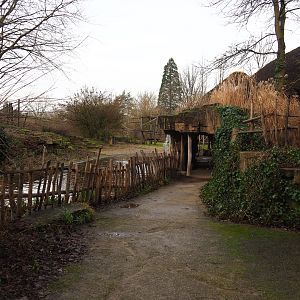 Bonobo island viewing area and access to cave area, 2020-01-11