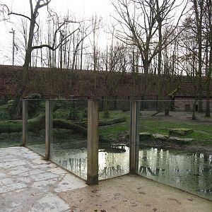 Viewing area first spotted hyena exhibit, 2020-01-11