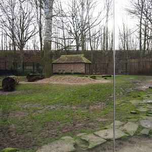 Second spotted hyena exhibit, 2020-01-11