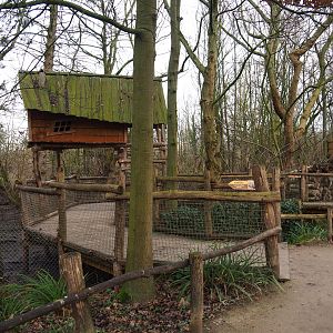 Bush dog viewing area, 2020-01-11
