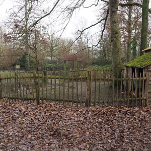 Flemish geese area near the bison/wapiti paddock, 2020-01-11
