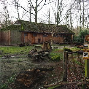 Giant anteater and Black-rumped agouti exhibit, 2020-01-11