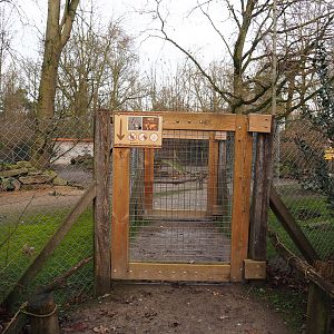 Access gates to Patagonian walk-through exhibit, 2020-01-11