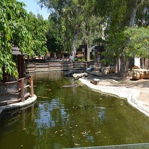 Exhibit for pygmy hippopotamus, Kafue lechwes and Mute swans