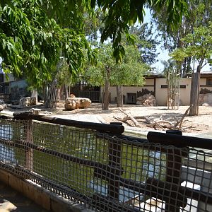 Exhibit for pygmy hippopotamus, Kafue lechwes and Mute swans