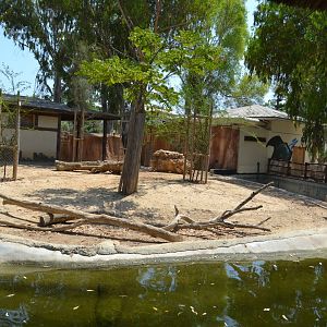 Exhibit for pygmy hippopotamus, Kafue lechwes and Mute swans
