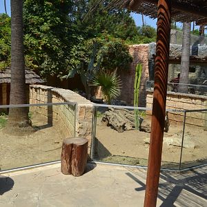 Small mammals exhibits