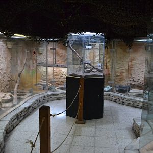 Reptile house
