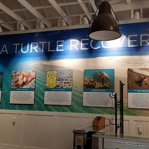 Turtle Back Zoo - Sea turtle signs