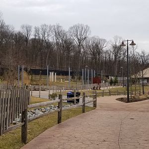 Turtle Back Zoo - Inside African Adventure; lions and hyenas on left