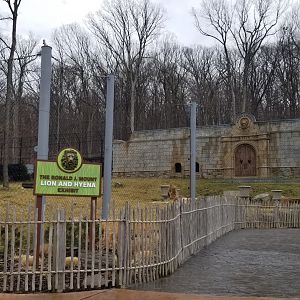 Turtle Back Zoo - Lions