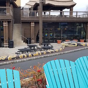 Turtle Back Zoo - climbing snake outside Cafe