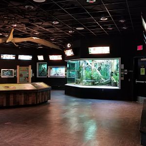 Turtle Back Zoo - Reptile house