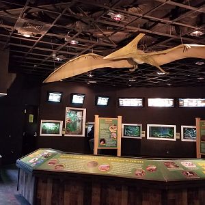 Turtle Back Zoo - Reptile house