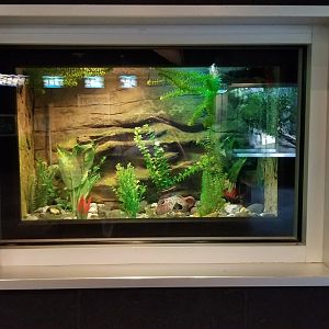 Turtle Back Zoo - crayfish