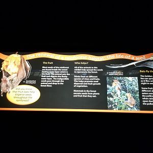 Turtle Back Zoo - example of signs in reptile house