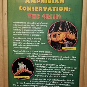 Turtle Back Zoo - example of large signs in reptile house