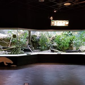 Turtle Back Zoo - Komodo dragon and taveta golden weaver