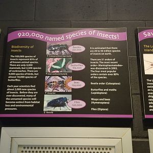 Turtle Back Zoo - example of signage in bug area