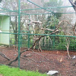 Cockatoo Aviary