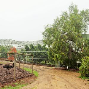 Waterbird Aviary