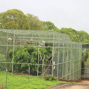 Waterbird Aviary