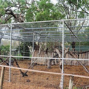 Rhesus Macaque Enclosure
