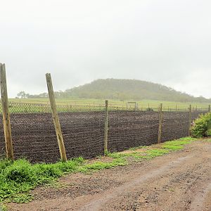 Blackbuck/Red Deer/Ostrich Enclosure