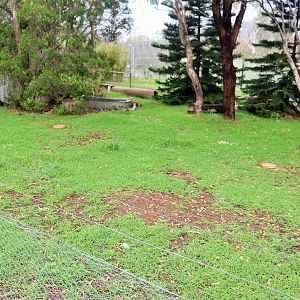 Second Ruddy Shelduck Enclosure