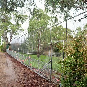 Maned Wolf Enclosure