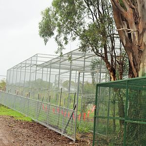 Future Sri Lankan Leopard Enclosure