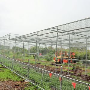 Future Sri Lankan Leopard Enclosure