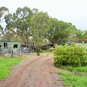 Pygmy Hippo Viewing Area and Meerkat/Porcupine Enclosure