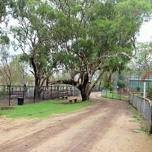 African Animal Enclosures