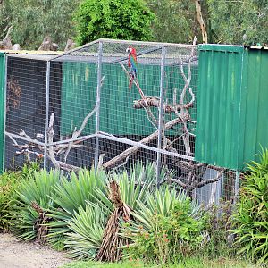 Macaw Aviary