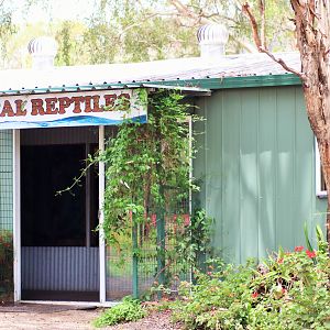 Reptile Building
