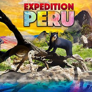 Zoo Tours | Expedition Peru: Trek of the Andean Bear
