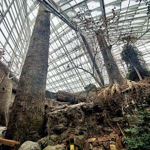 Feb. 2020 - The River Journey - Appalachian Cove Forest