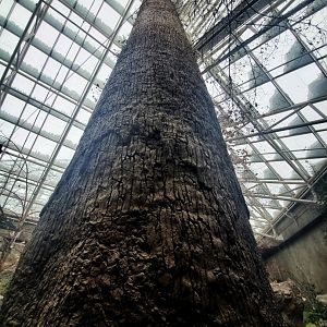 Feb. 2020 - The River Journey - Appalachian Cove Forest