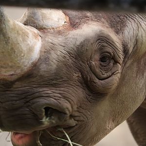 February 6th snow day