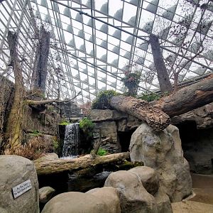 Feb. 2020 - The River Journey - Appalachian Cove Forest Scenery