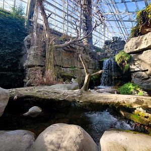 Feb. 2020 - The River Journey - Appalachian Cove Forest - Trout Tank