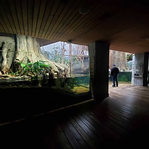 Feb. 2020 - The River Journey - Delta Country - American Alligator/Alligator Snapping Turtle/Others Exhibit