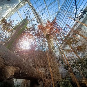 Feb. 2020 - The River Journey - Delta Country - Ceiling Equivalent to 10 Stories