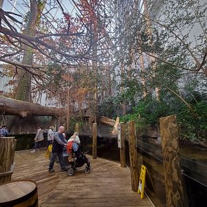 Feb. 2020 - The River Journey - Delta Country - Merganser + Wood Duck + Turtle Exhibit