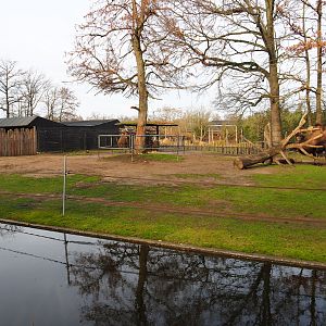 Bactrian camel paddock, 2020-01-11