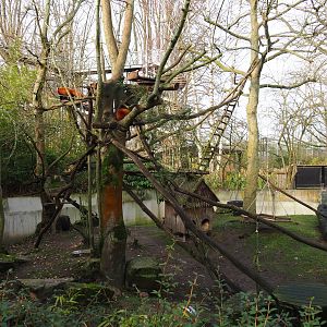 Red panda exhibit, 2020-01-11