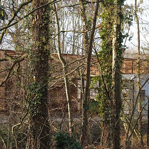 Behind the scenes cage for animals from Antwerp, 2020-01-11